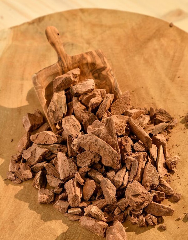 L’extrait de l’écorce de Maytenus Macrocarpa