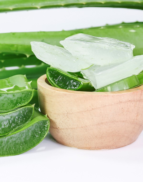 aloe