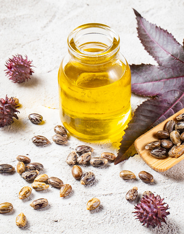 Castor seed oil