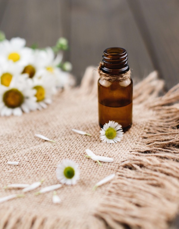 Huile essentielle de camomille romaine (ANTHEMIS NOBILIS FLOWER OIL)
