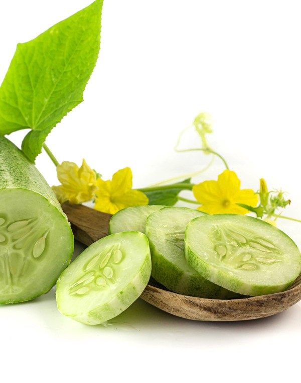 Cucumber extract