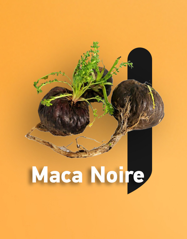 Extrait de Maca Noire