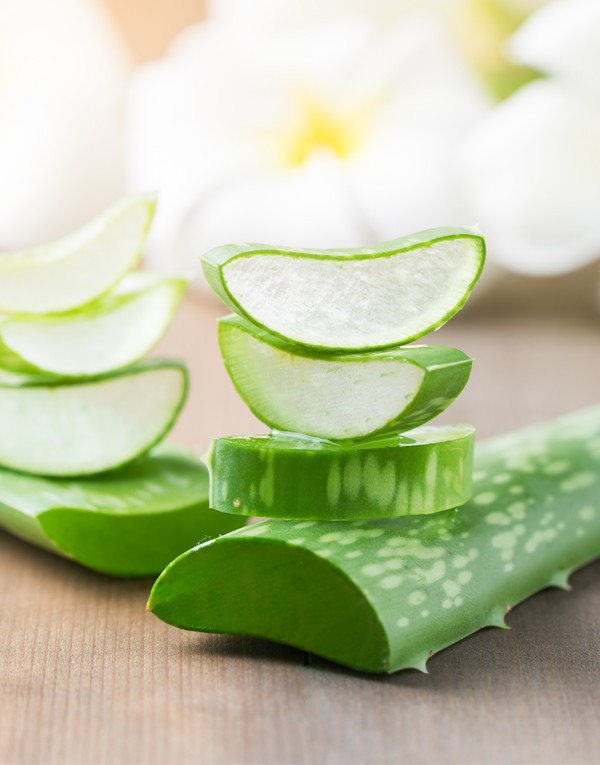 Gel d’Aloe Vera
