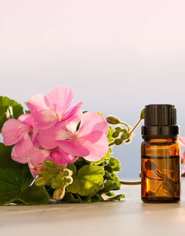 Geranium Essential Oil