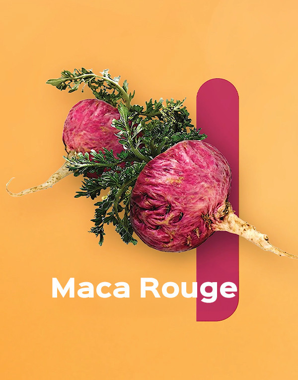 Extrait de Maca Rouge