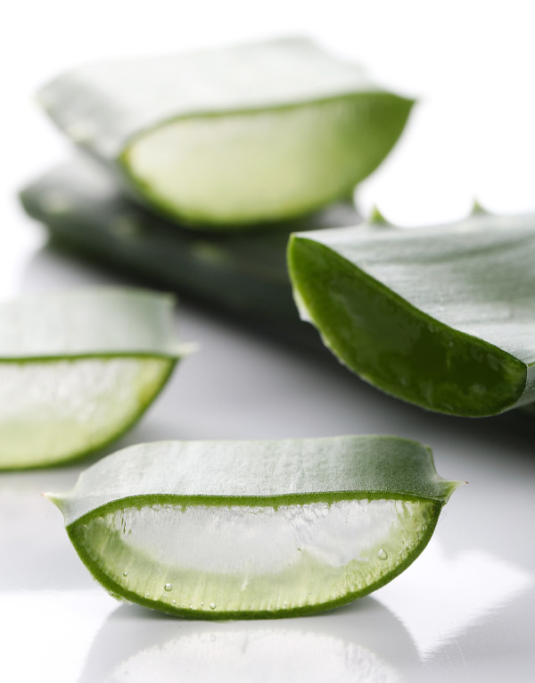 Aloe vera