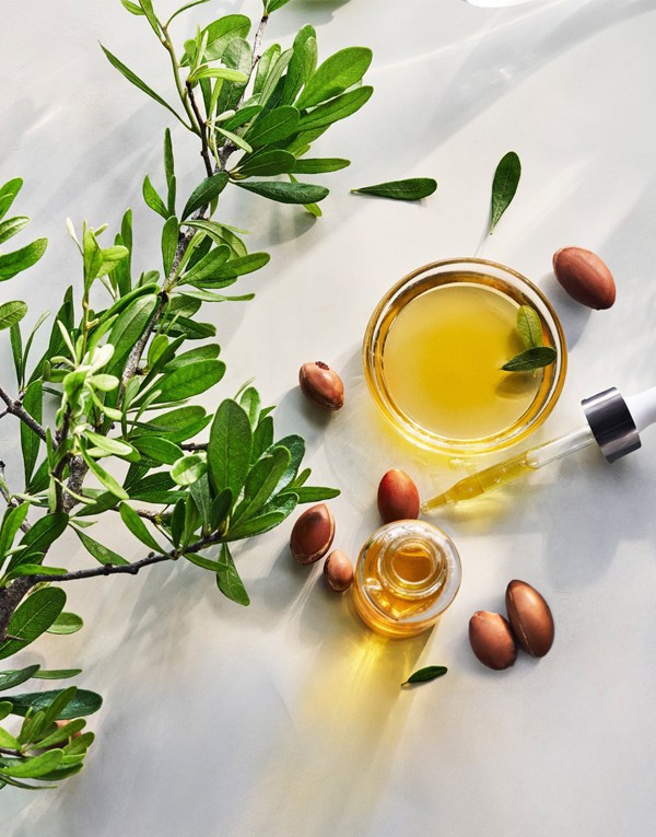 Huile d’argan Bio (ARGANIA SPINOSA KERNEL OIL)