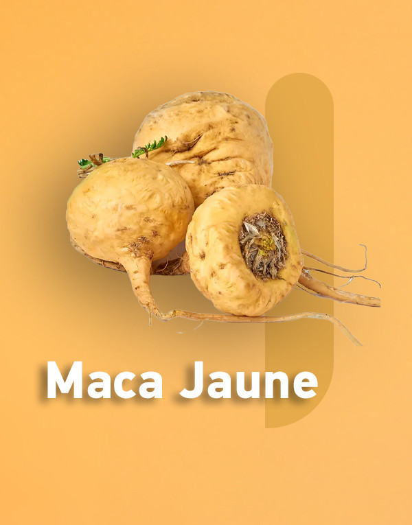 Poudre de Maca Jaune