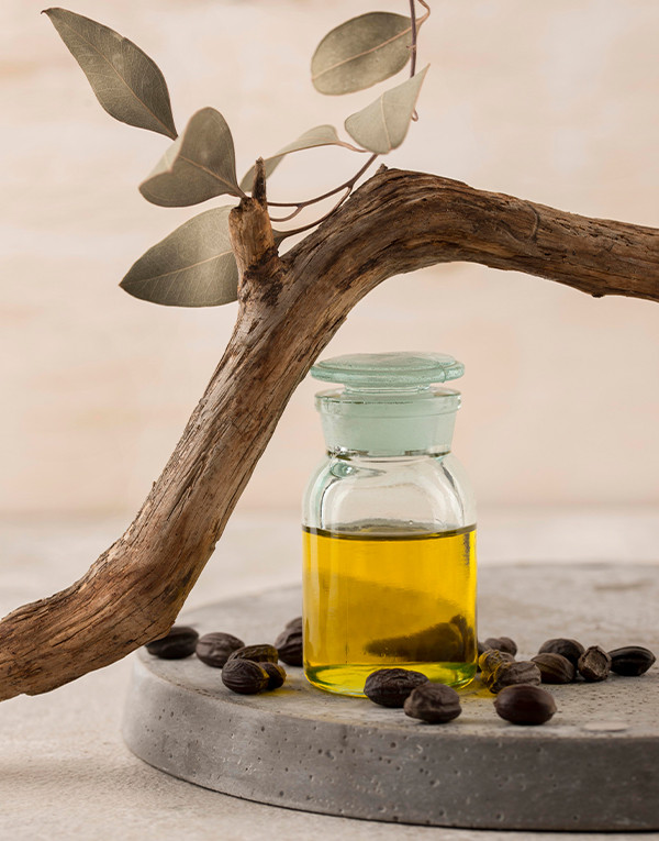 Huile de graines de jojoba