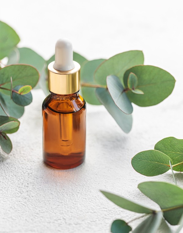 Eucalyptus essential oil