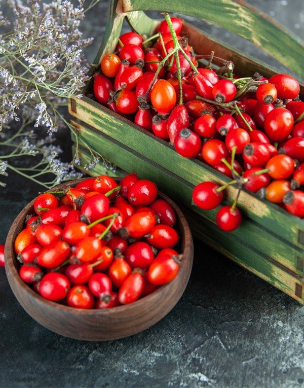 Rose hip fruit extract